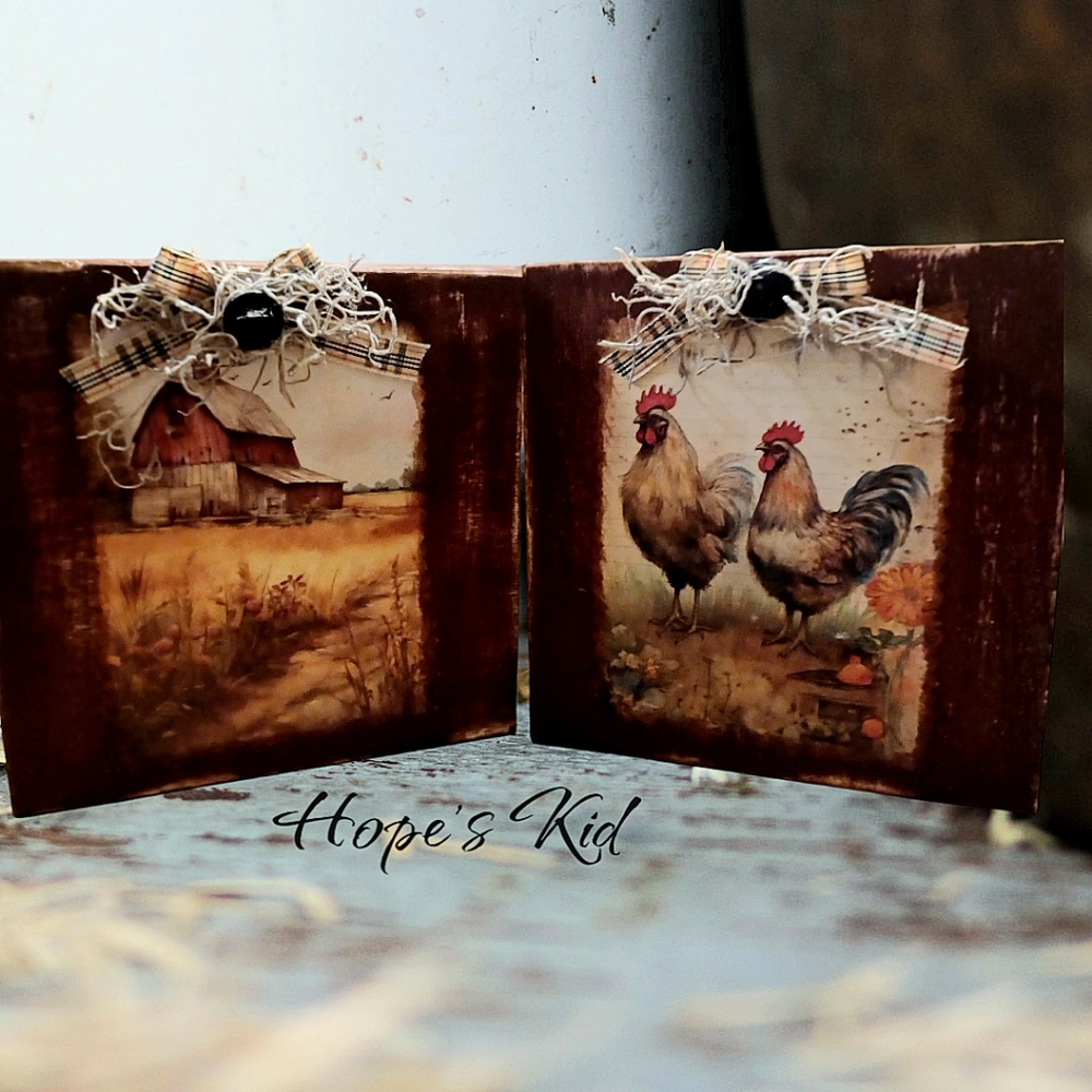Rustic Decor - Picture 2 of 2